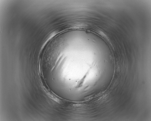 X0000061111227200512022117