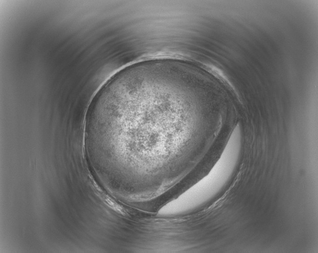 X0000061111228200512022117