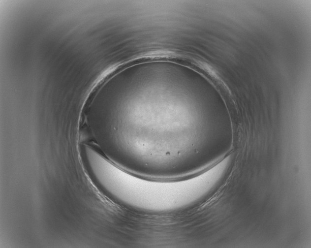 X0000061111229200512022117