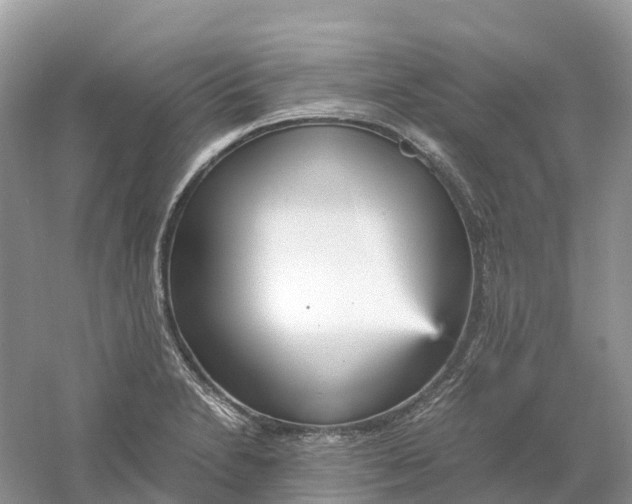 X0000061111230200512022117