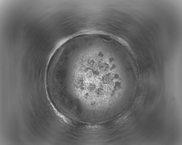 X0000061111231200512022117