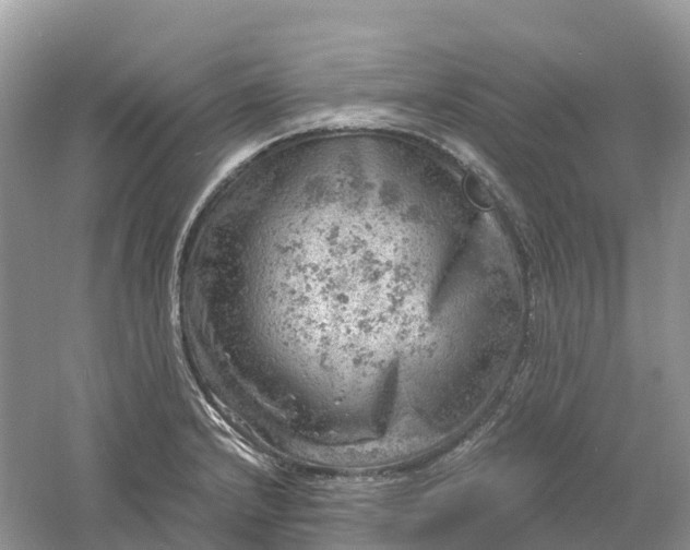 X0000061111232200512022117