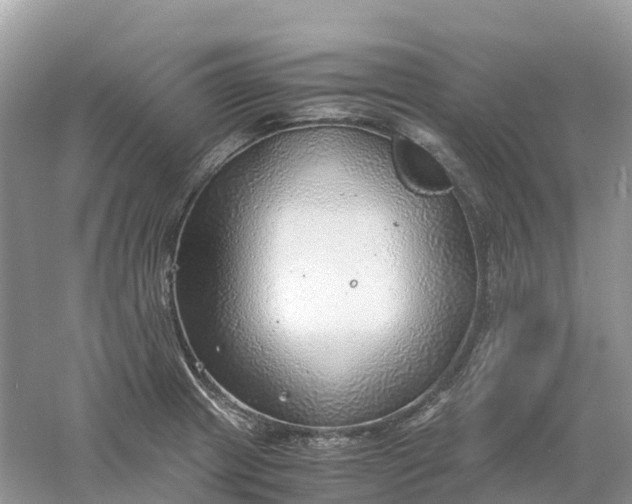 X0000061111233200512022117