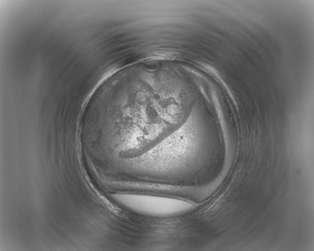 X0000061111235200512022117