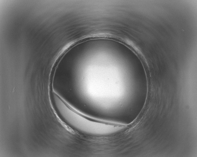 X0000061111237200512022117