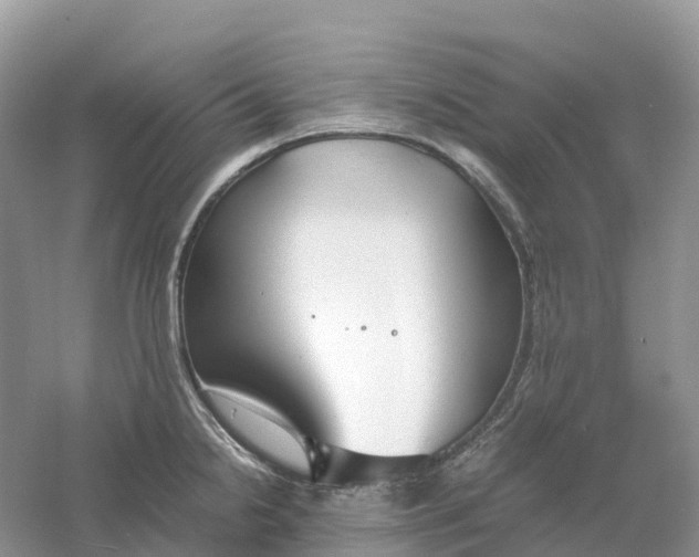 X0000061111238200512022117