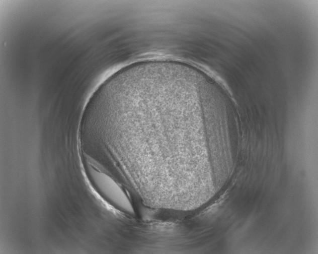 X0000061111239200512022117