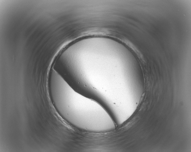 X0000061111240200512022117