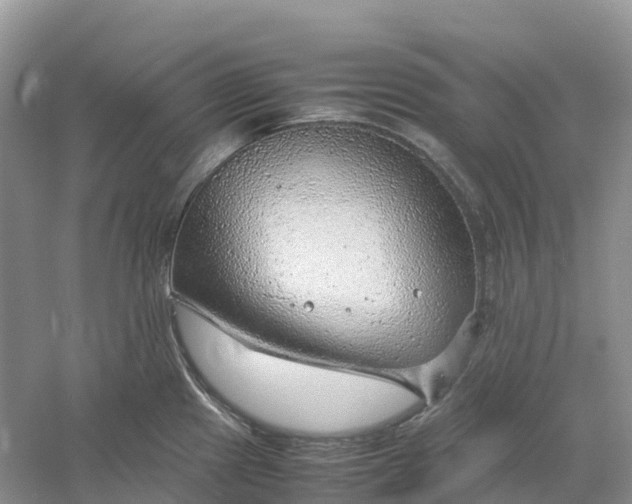 X0000061111241200512022117