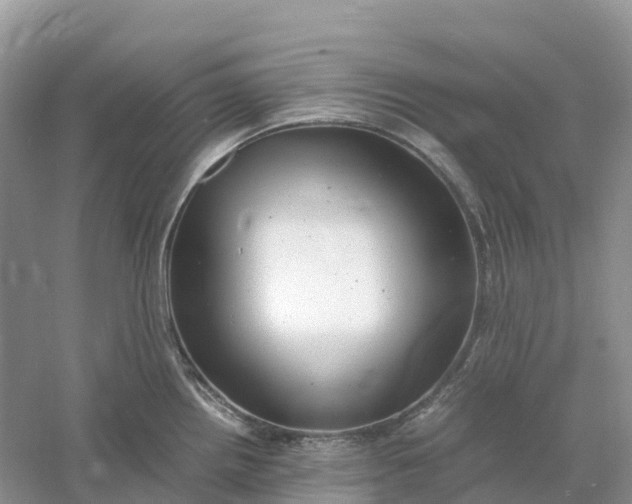 X0000061111242200512022117