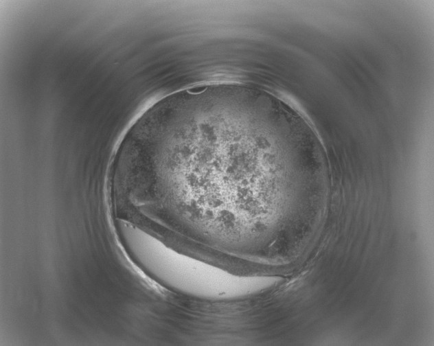 X0000061111243200512022117