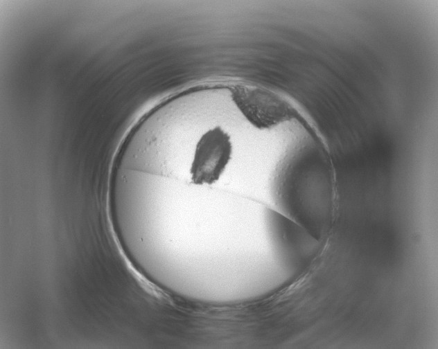 X0000061111245200512022117