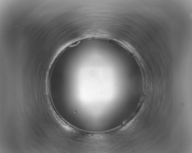 X0000061111246200512022117