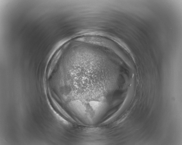 X0000061111247200512022117