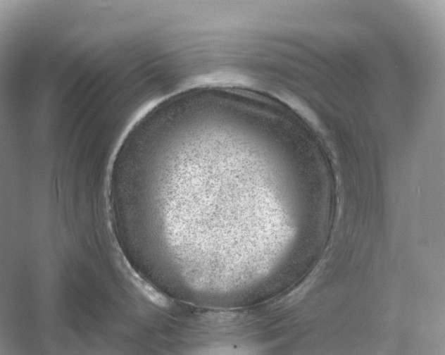 X0000061111248200512022117