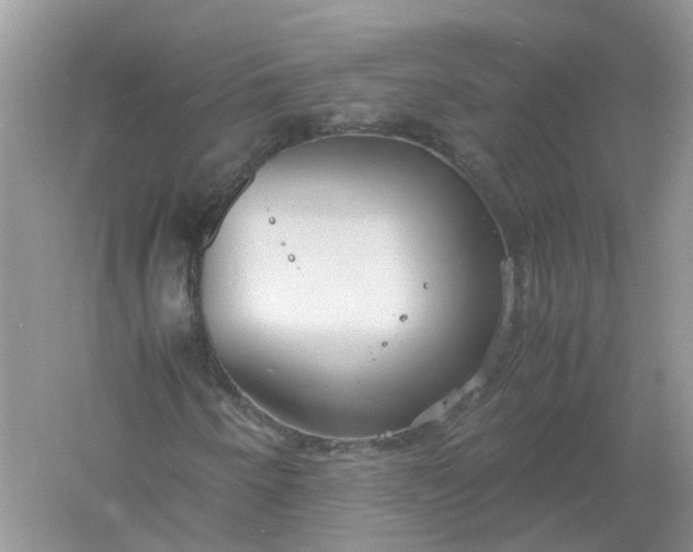 X0000061111250200512022116