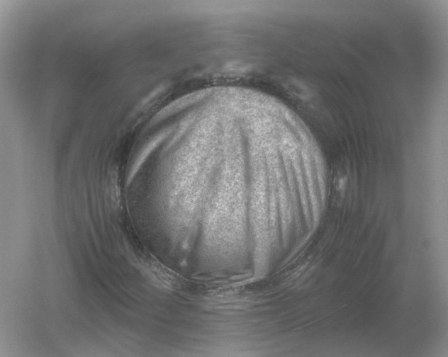 X0000061111252200512022116