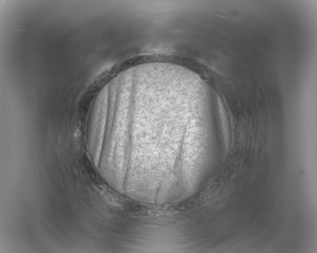 X0000061111254200512022116