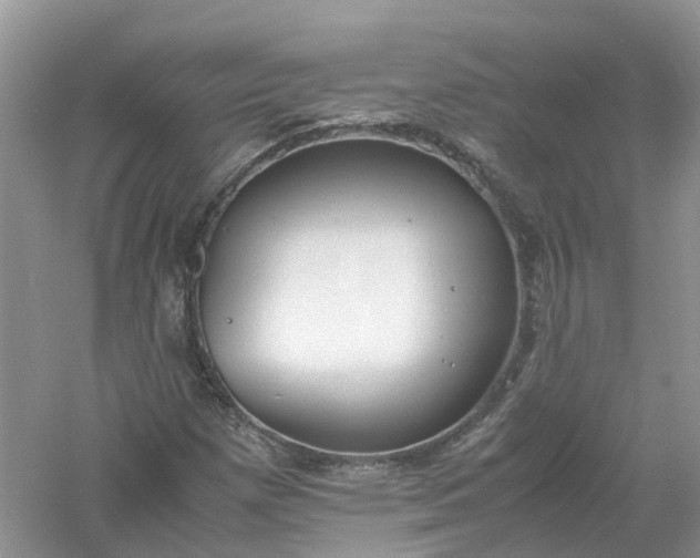 X0000061111257200512022116