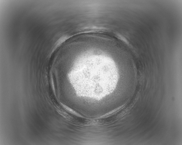 X0000061111259200512022116