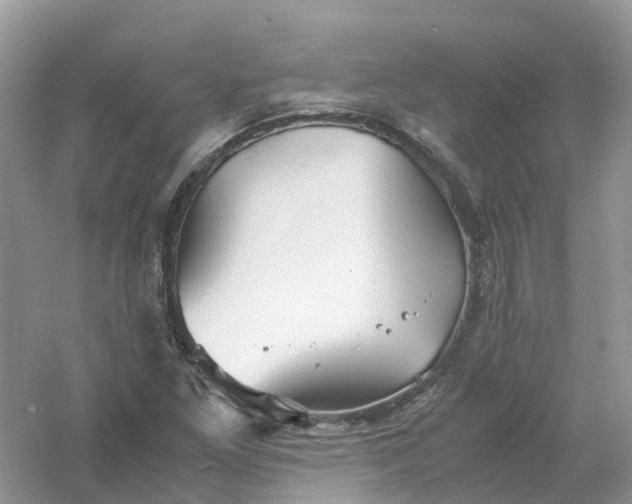 X0000061111261200512022116