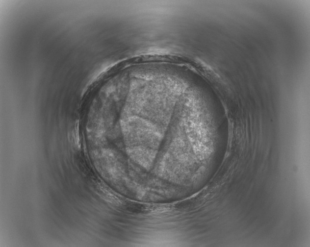 X0000061111262200512022116