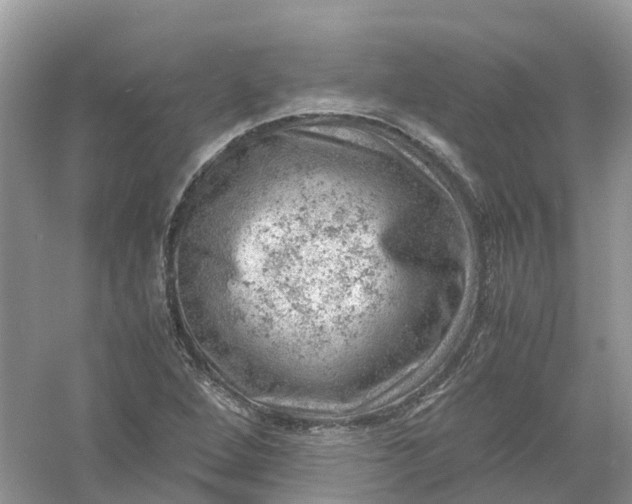 X0000061111264200512022116