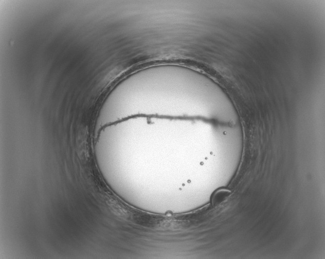 X0000061111265200512022116