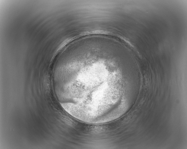 X0000061111266200512022116