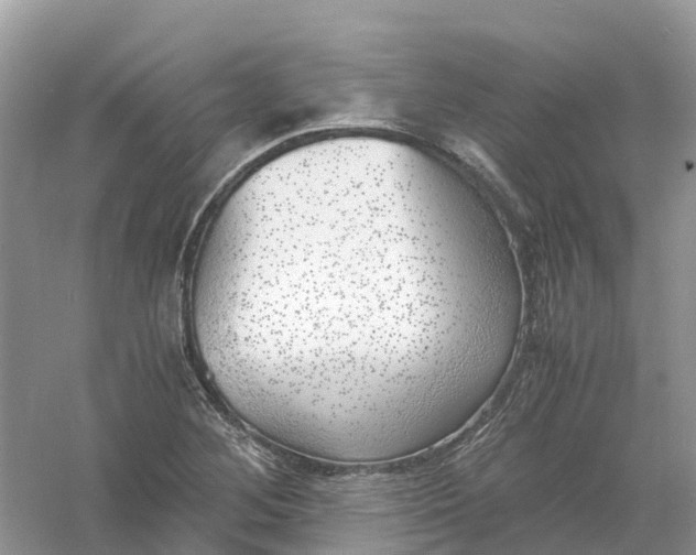 X0000061111268200512022116