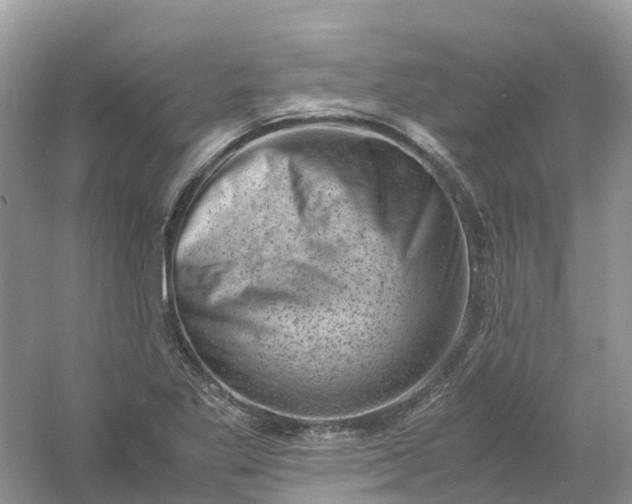 X0000061111269200512022116