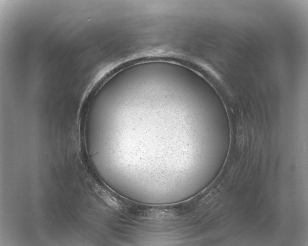 X0000061111270200512022116