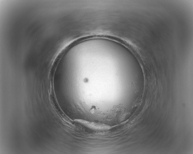 X0000061111271200512022116