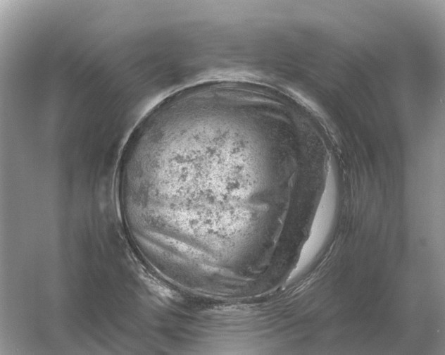 X0000061111272200512022116