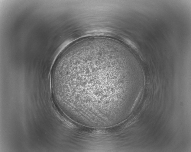 X0000061111275200512022116