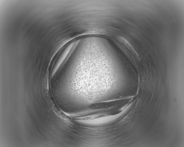 X0000061111276200512022116