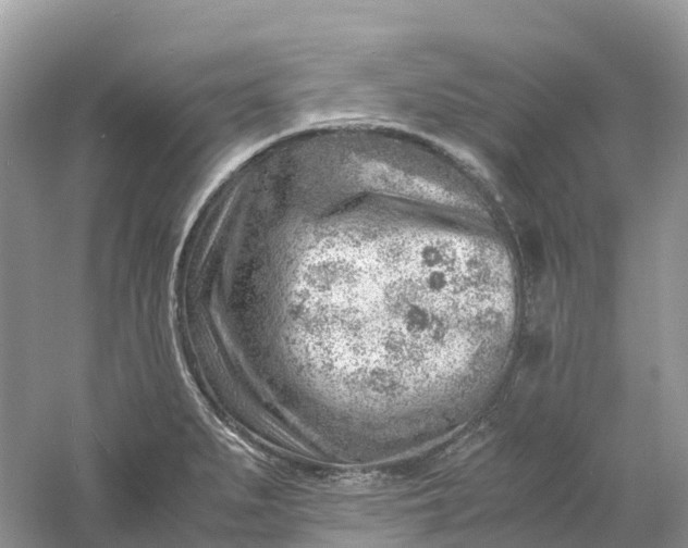 X0000061111279200512022116