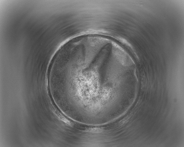 X0000061111280200512022116