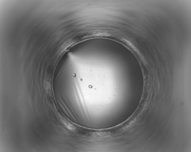 X0000061111281200512022116