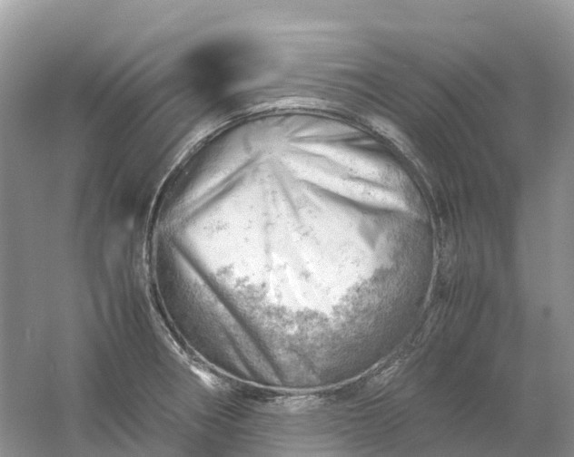 X0000061111282200512022116