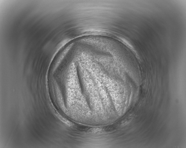 X0000061111283200512022116