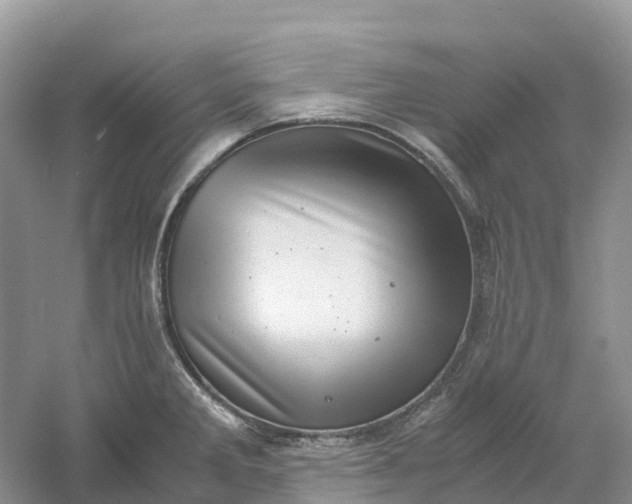 X0000061111285200512022115