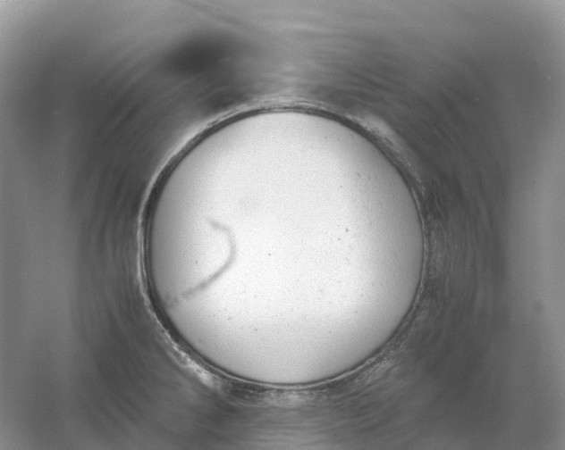 X0000061111286200512022115