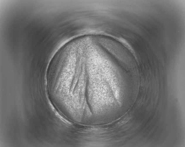 X0000061111287200512022115