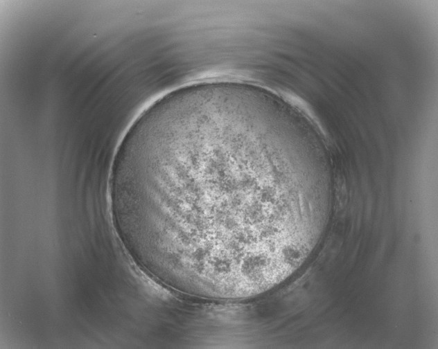 X0000061111288200512022115