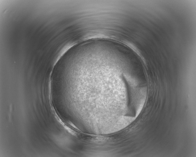 X0000061111290200512022115