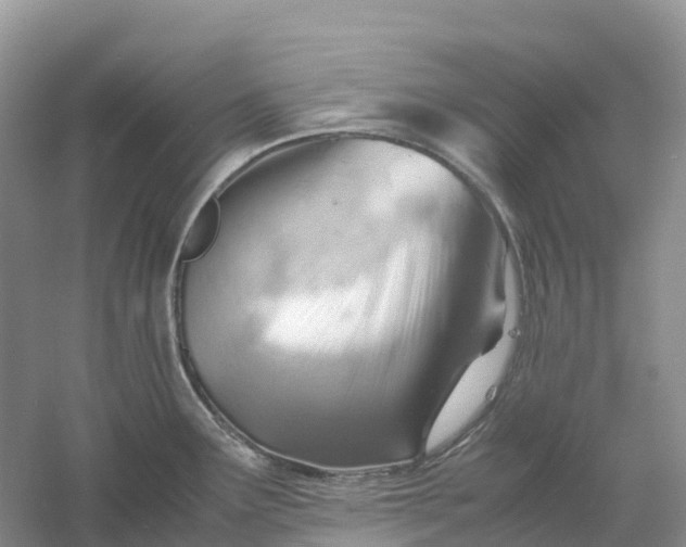 X0000061111291200512022115