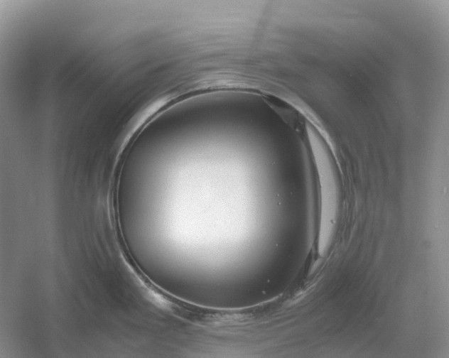 X0000061111293200512022115