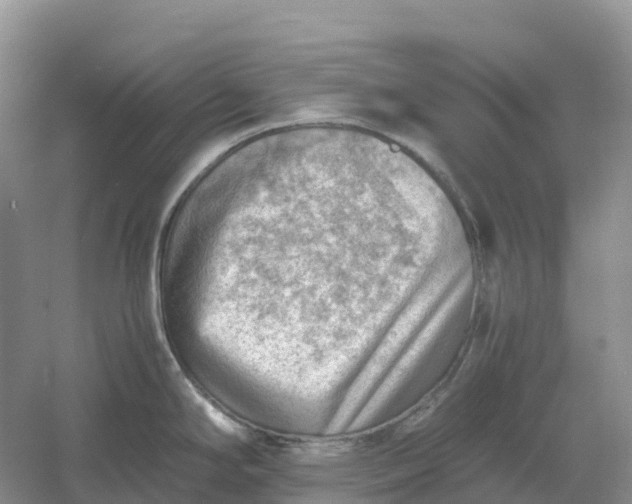 X0000061111294200512022115