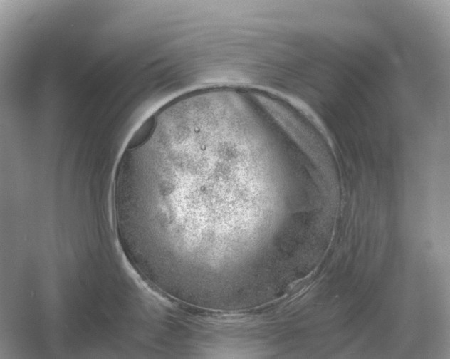 X0000061111295200512022115